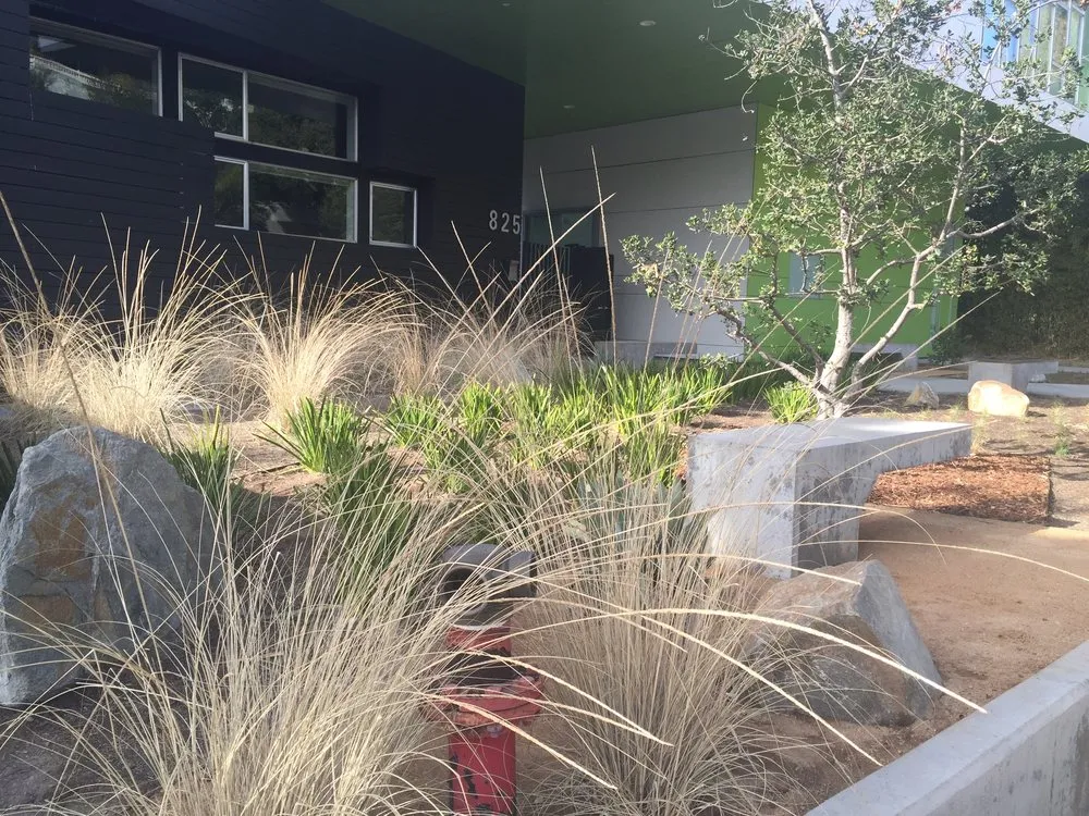 Custom garden landscaping in Studio City, CA by GLD Landscape Design