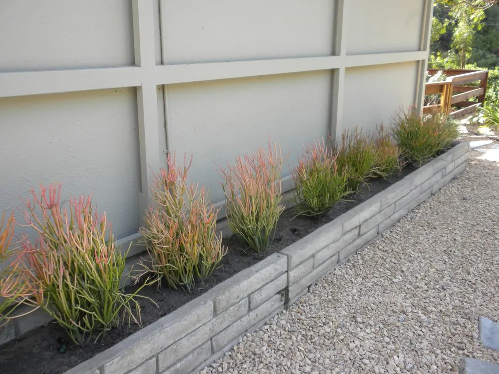 Custom lawn mowing service for residential properties in Studio City, CA by GLD Landscape Design