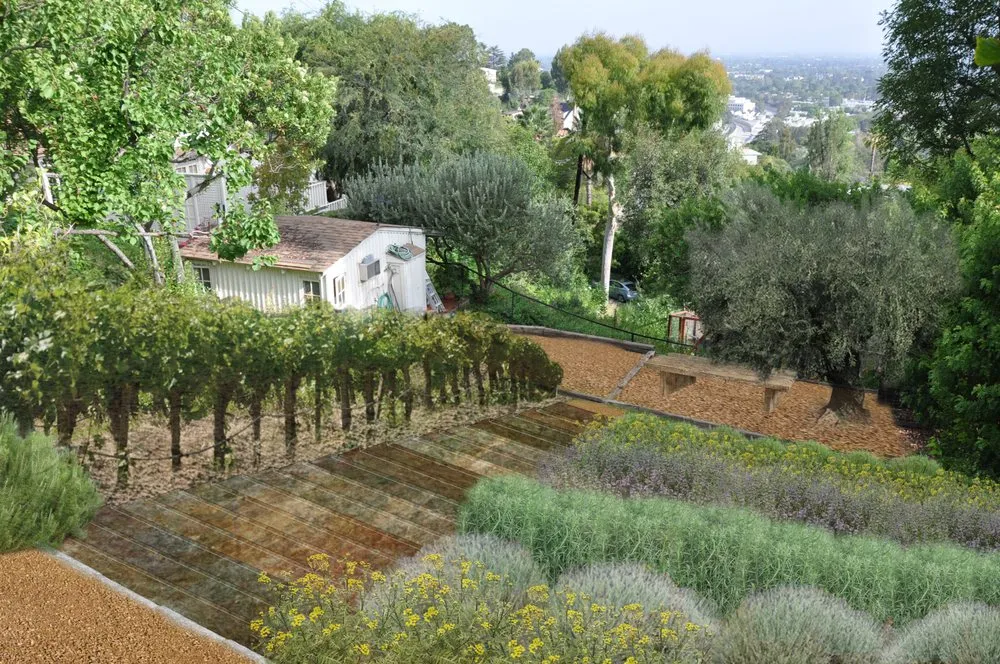 Reliable landscape installation in Studio City, CA by GLD Landscape Design