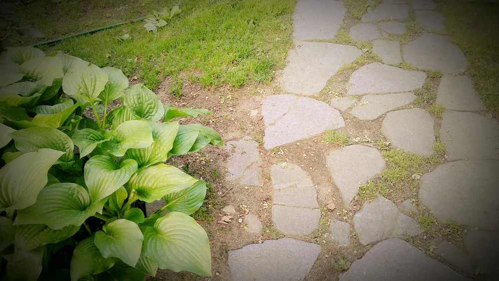 Trusted landscape design in Springfield, MA - Gleason Johndrow Landscape & Snow Management