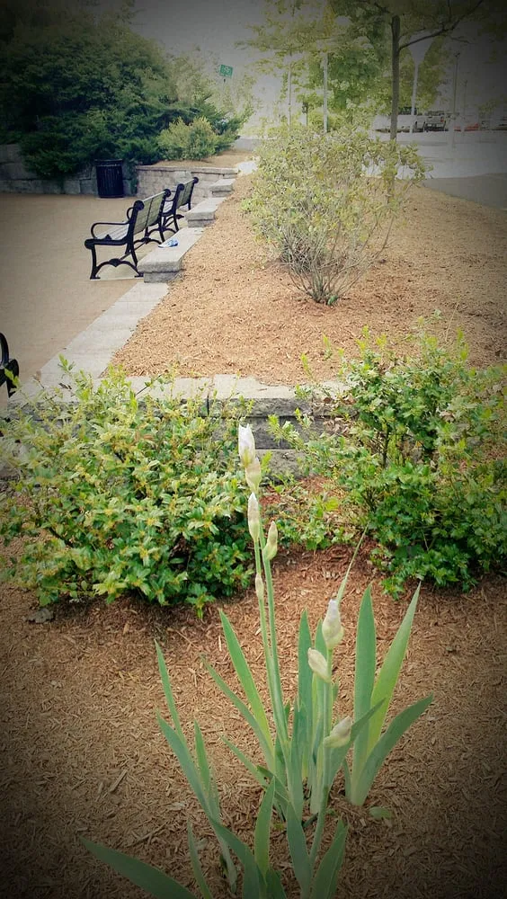 Top-rated lawn mowing service for residential properties in Springfield, MA by Gleason Johndrow Landscape & Snow Management