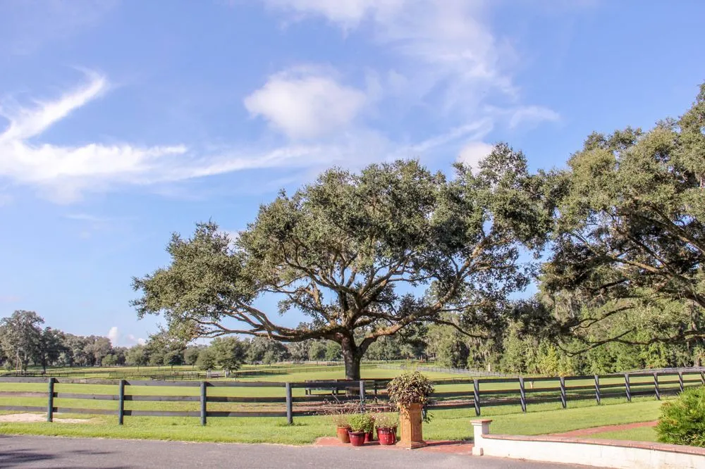 Affordable lawn care service experts serving Ocala, FL - Gleason Property Services