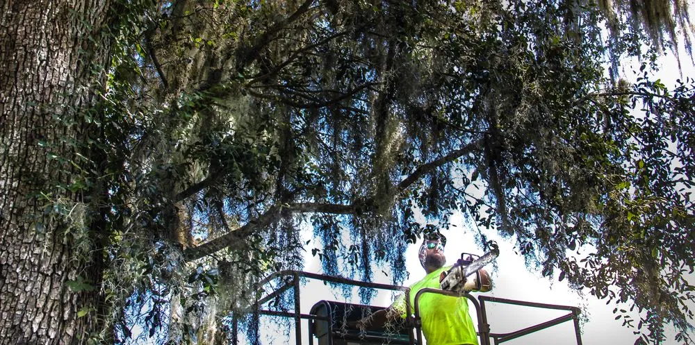 Expert lawn care service for homes across Ocala, FL - Gleason Property Services