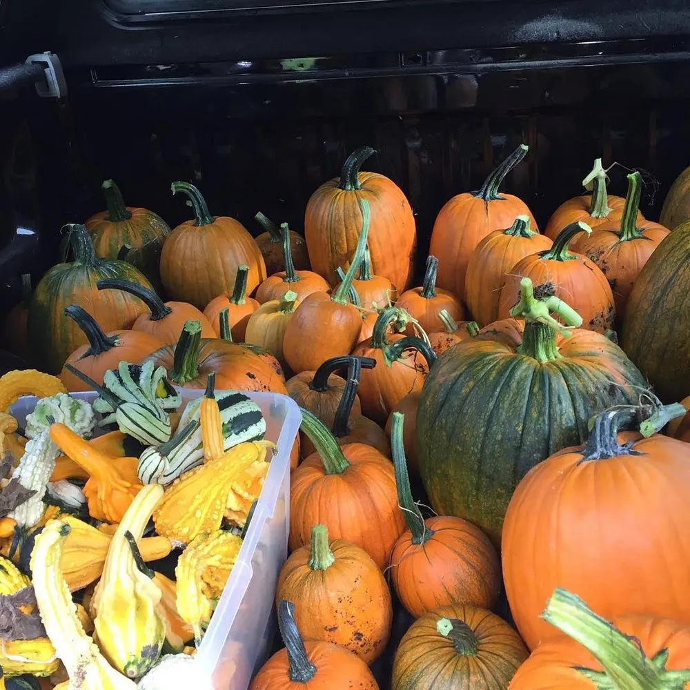 Reliable lawn mowing service experts serving Londonderry, VT - Glebe Mountain Gardens & Landscaping