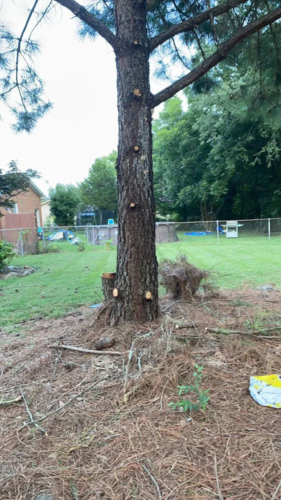 Affordable yard cleanup service for residential properties across Burlington, NC - Glen Raven Lawn Care