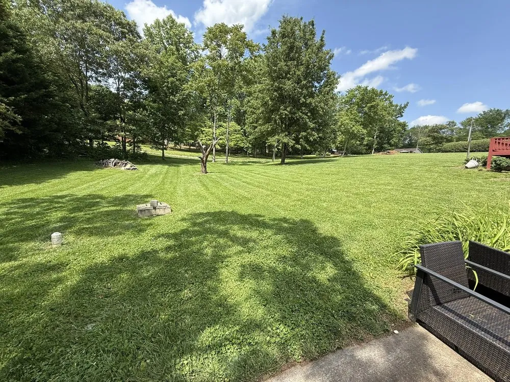 Custom yard cleanup service for year-round maintenance across Elkin, NC - Glendale Lawn Care