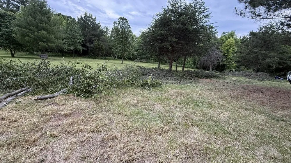 Professional residential landscaping for homes in Elkin, NC by Glendale Lawn Care