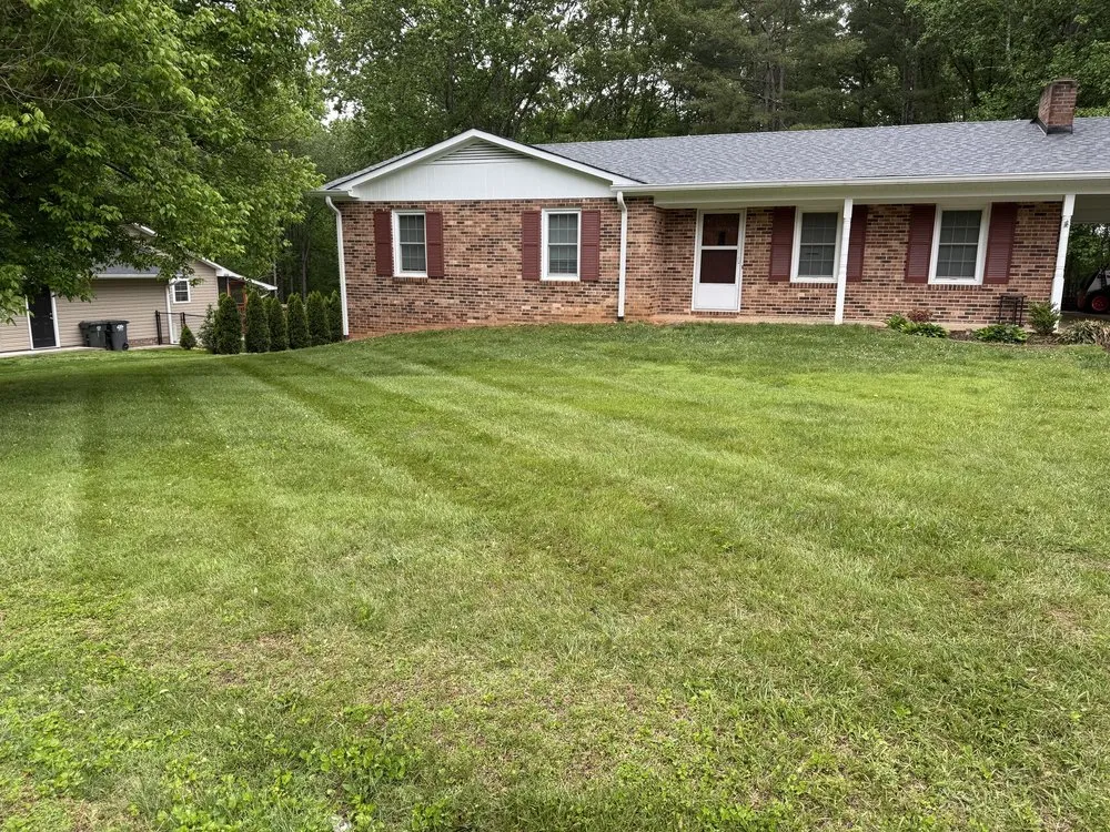 Affordable yard cleanup service experts serving Elkin, NC - Glendale Lawn Care