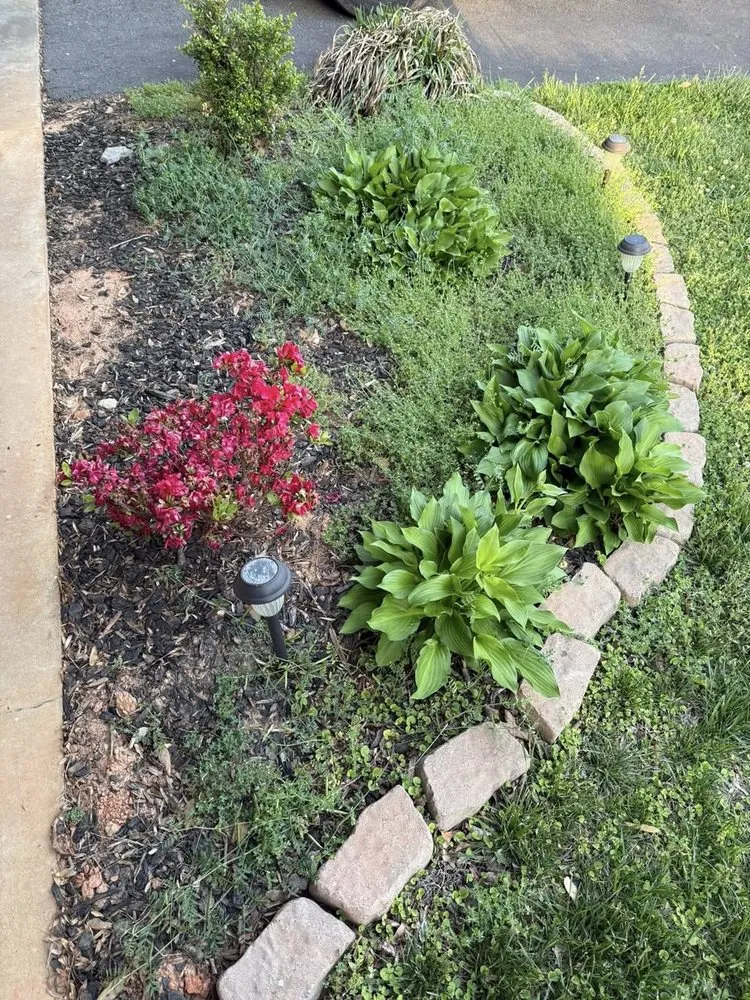 Trusted garden landscaping in Elkin, NC - Glendale Lawn Care