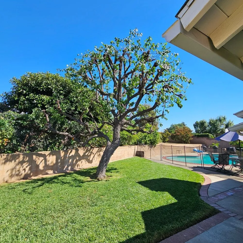 Top-rated landscape installation experts serving Covina, CA - Glendora Garden View