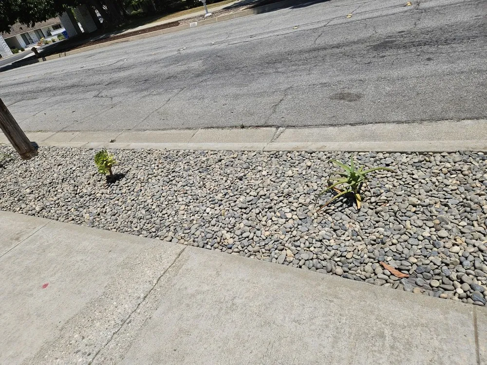 Expert outdoor landscaping experts serving Covina, CA - Glendora Garden View