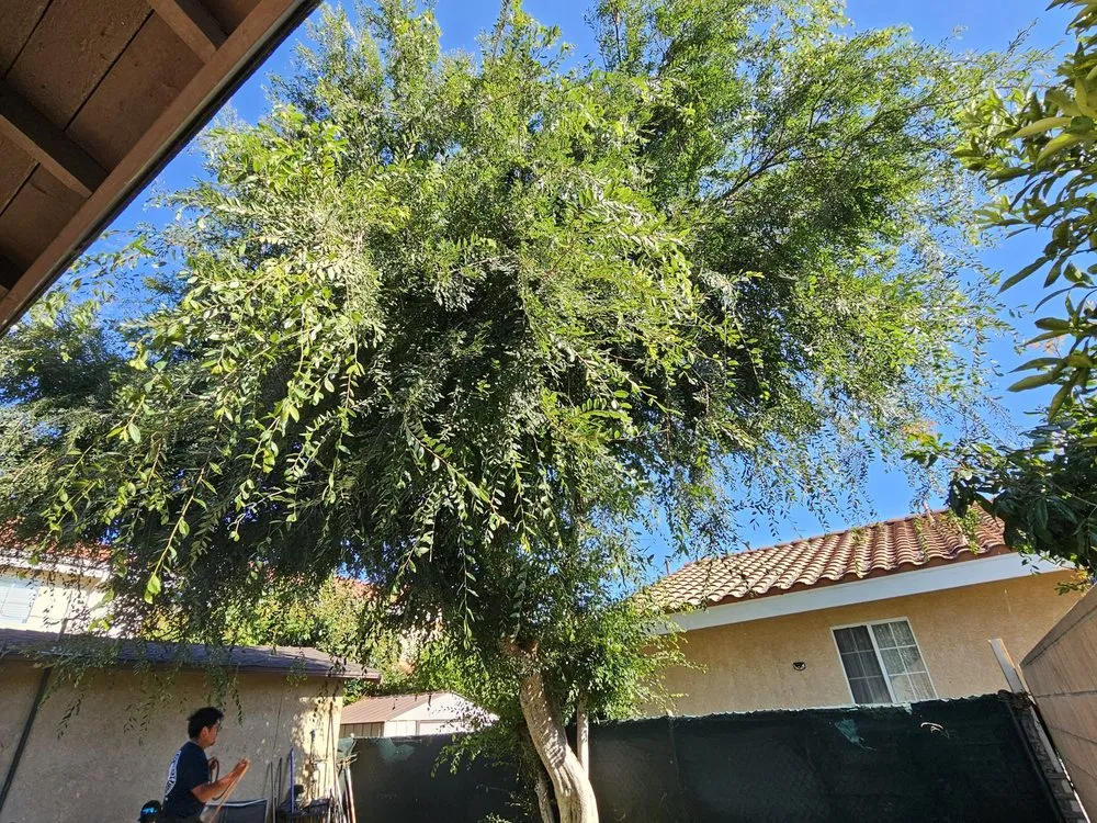 Trusted outdoor landscaping in Covina, CA by Glendora Garden View