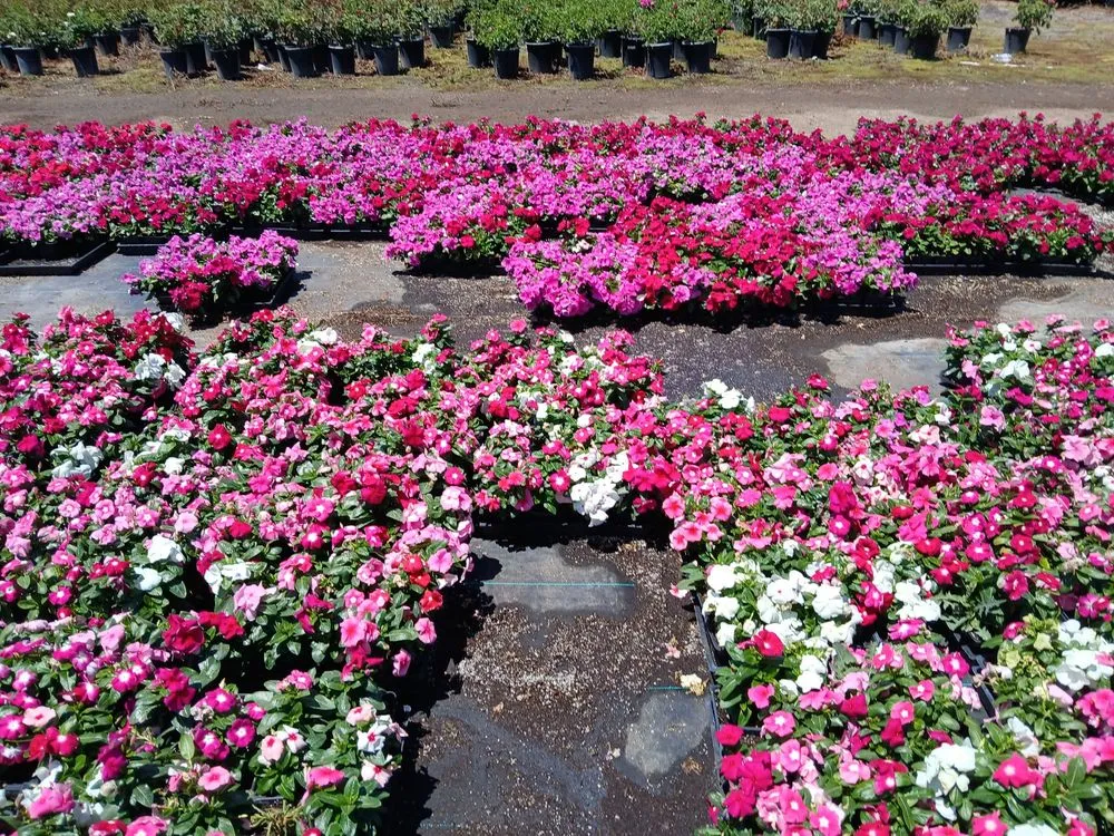 Expert landscape design near you across Covina, CA - Glendora Garden View