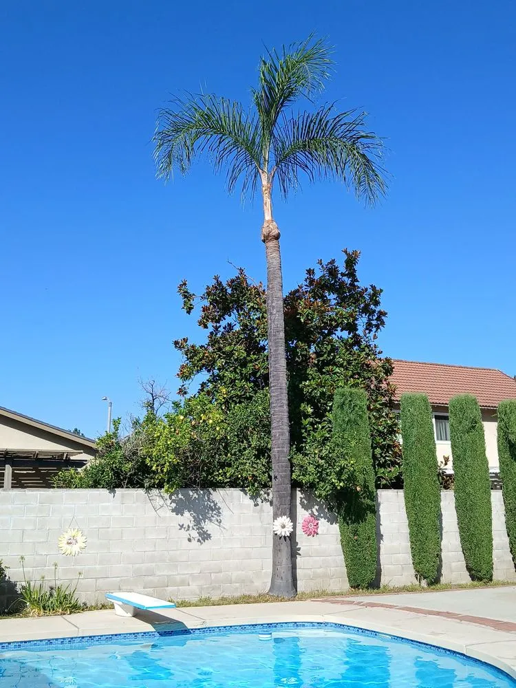 Top-rated outdoor landscaping in Covina, CA by Glendora Garden View