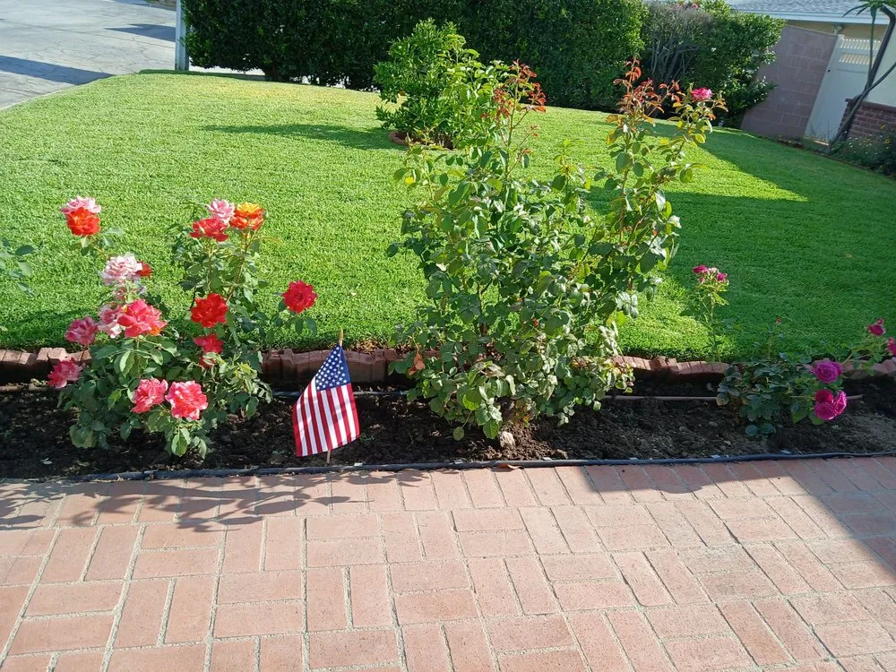 Expert yard cleanup service experts serving Covina, CA - Glendora Garden View