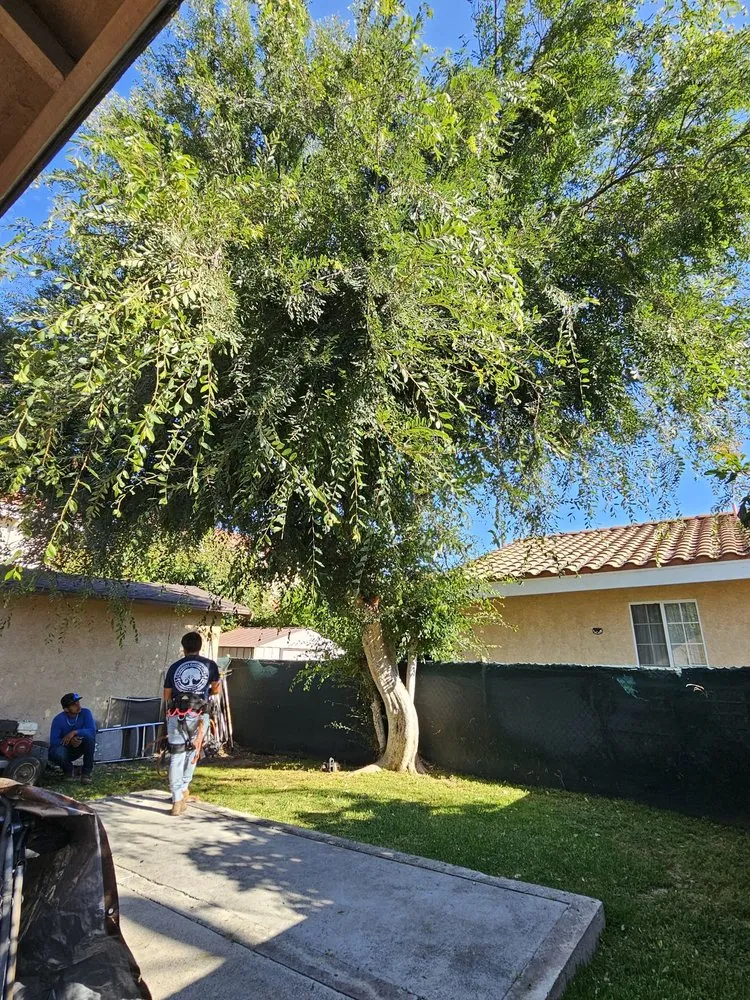 Professional landscaping services experts serving Covina, CA - Glendora Garden View