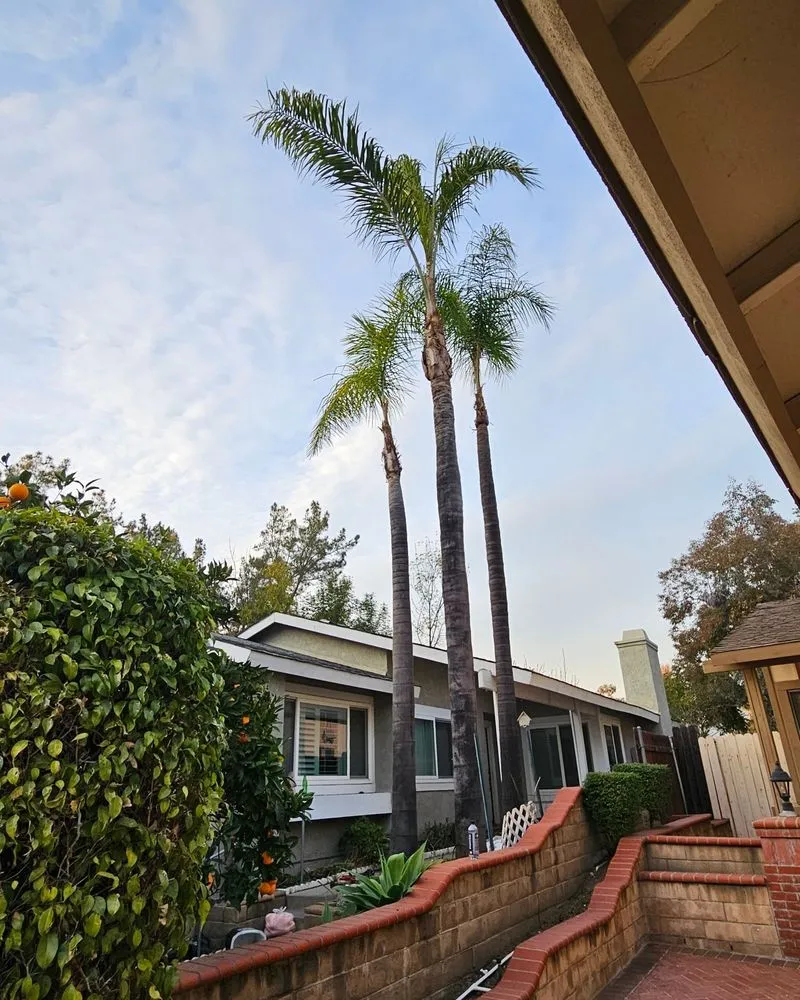 Custom landscape installation for outdoor upgrades across Covina, CA - Glendora Garden View