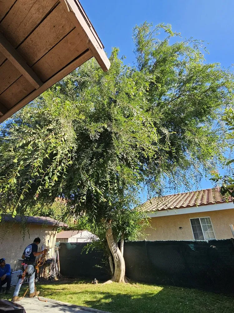 Custom garden landscaping in Covina, CA - Glendora Garden View