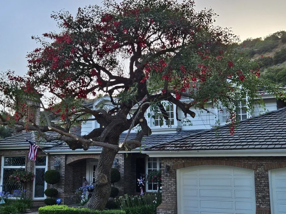 Affordable lawn mowing service in Covina, CA - Glendora Garden View