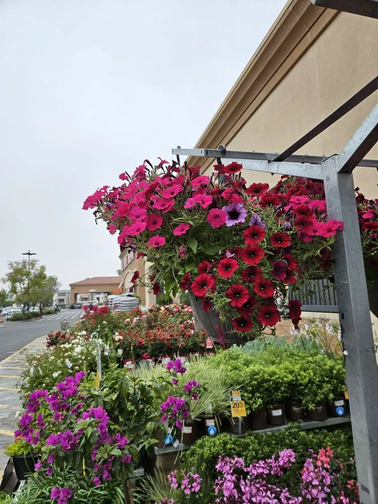 Custom garden landscaping with custom design in Covina, CA by Glendora Garden View