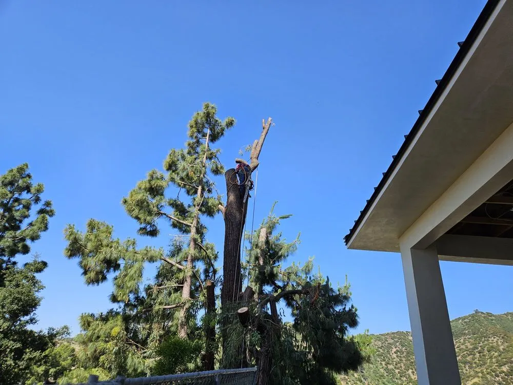 Top-rated landscaping services in Covina, CA - Glendora Garden View