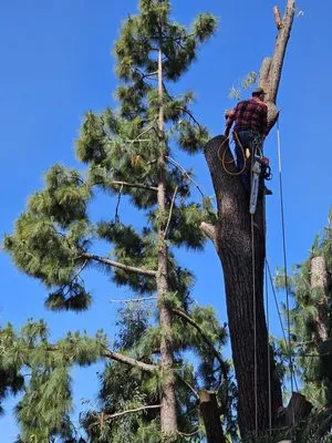 Glendora Garden View Logo