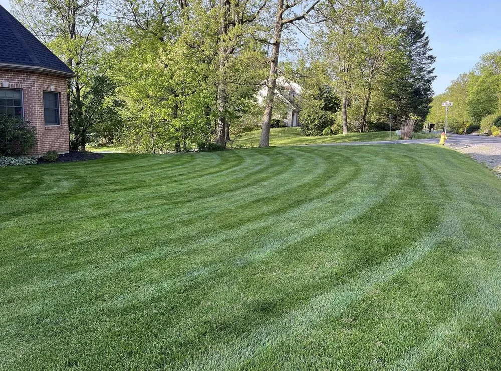 Trusted landscaping services experts serving Colorado Springs, CO - Gleneagle Lawn Services