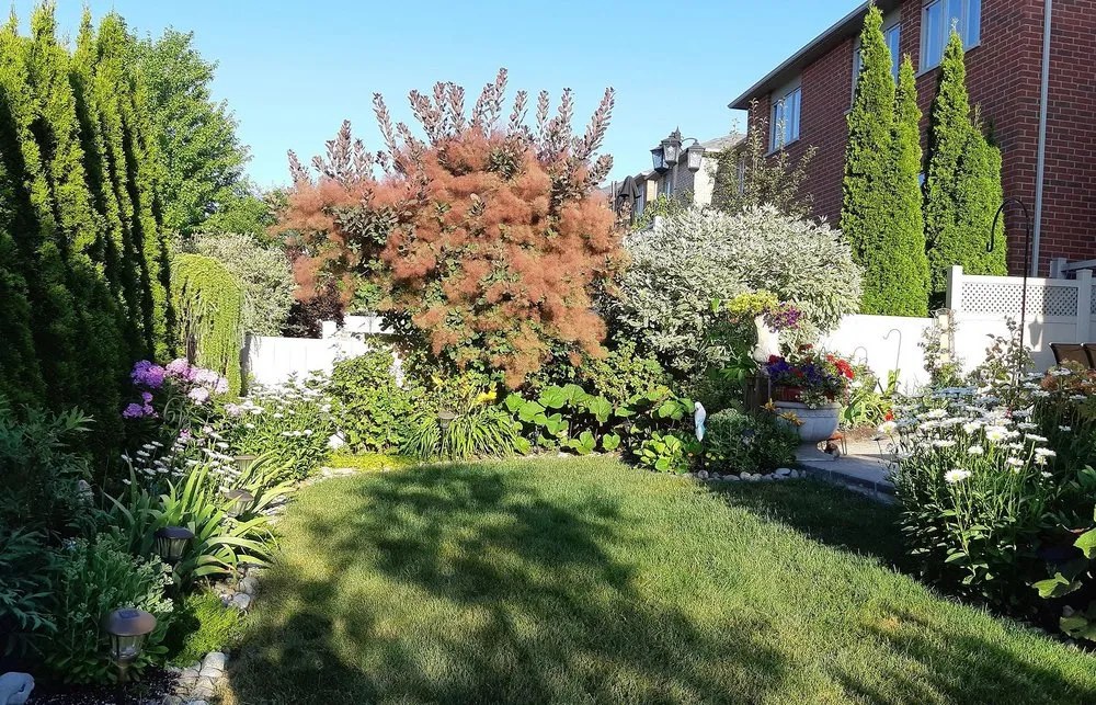 Trusted yard cleanup service for year-round maintenance in Colorado Springs, CO by Gleneagle Lawn Services