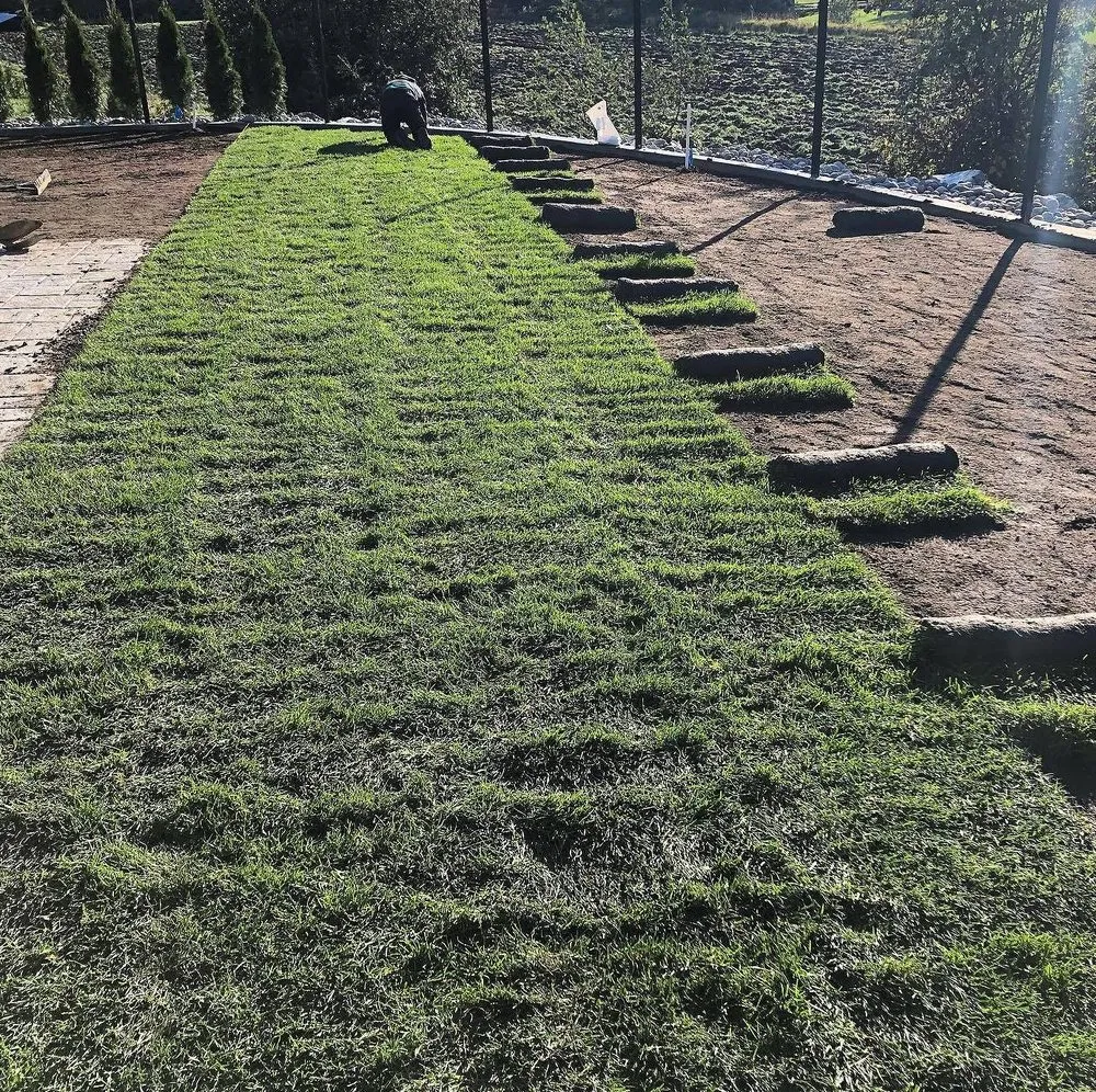 Custom yard maintenance experts serving Colorado Springs, CO - Gleneagle Lawn Services
