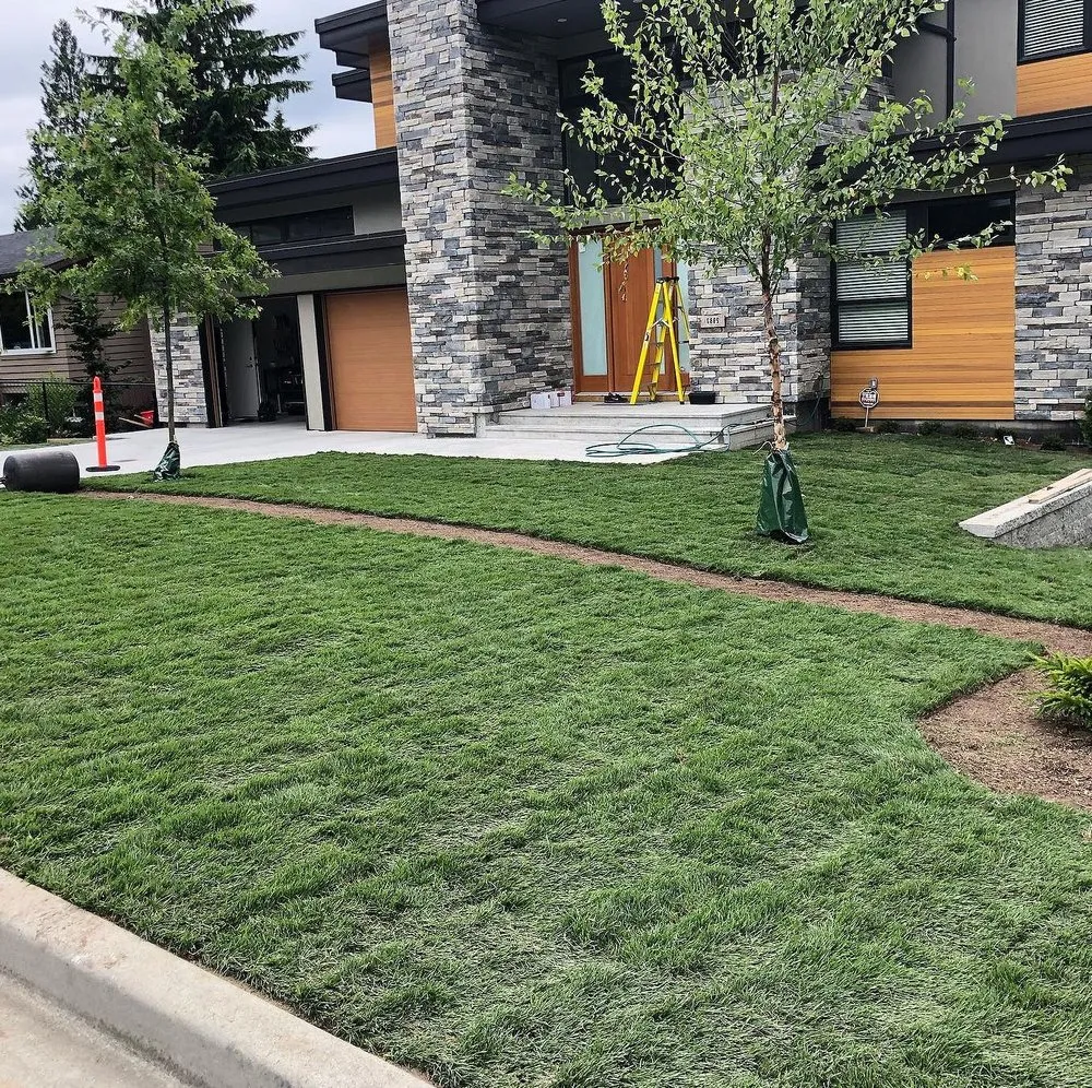 Top-rated landscape installation in Colorado Springs, CO by Gleneagle Lawn Services