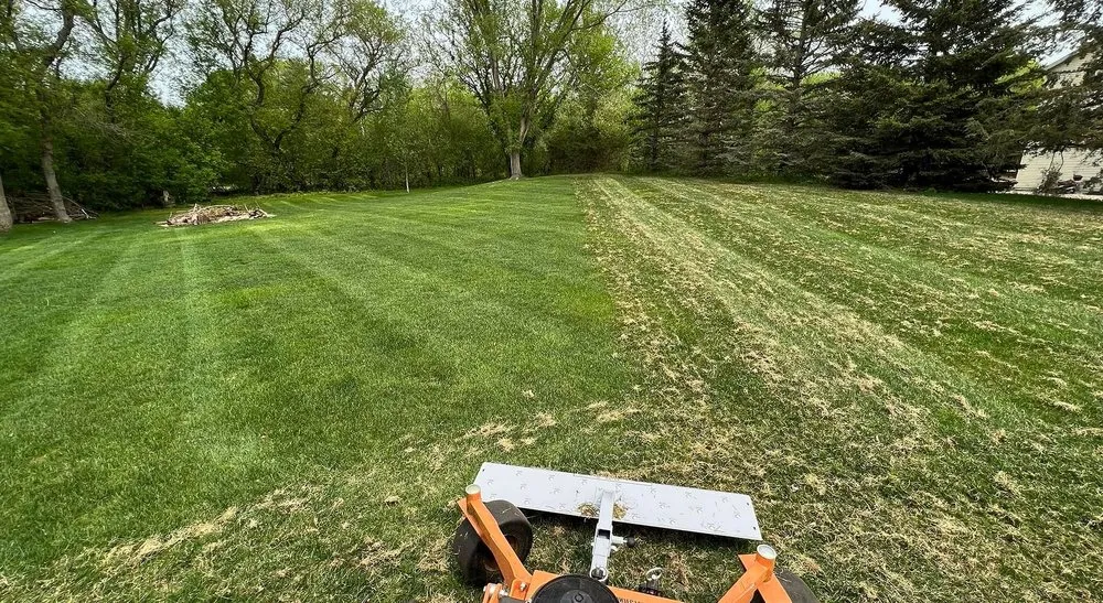 Reliable yard cleanup service for residential properties across Colorado Springs, CO - Gleneagle Lawn Services