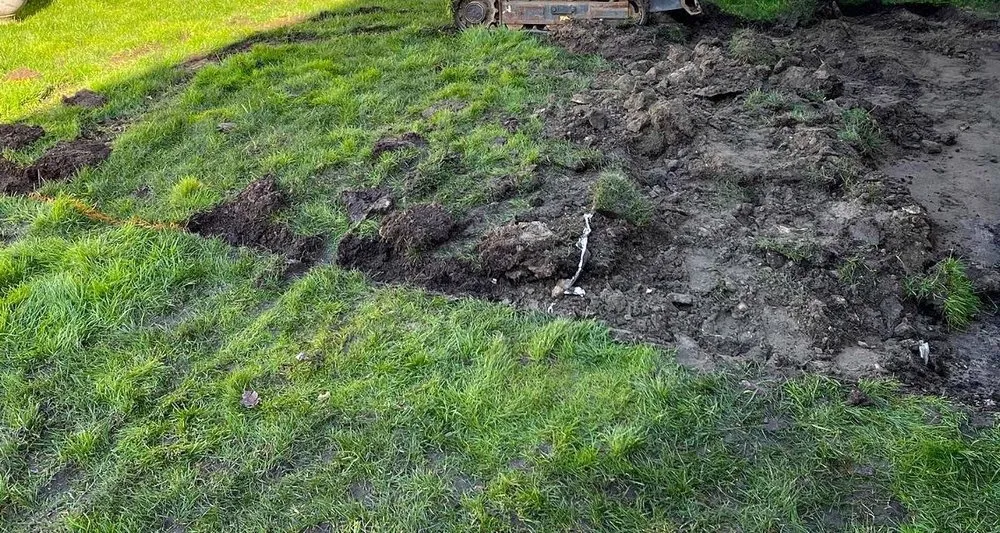 Top-rated yard cleanup service in Colorado Springs, CO by Gleneagle Lawn Services