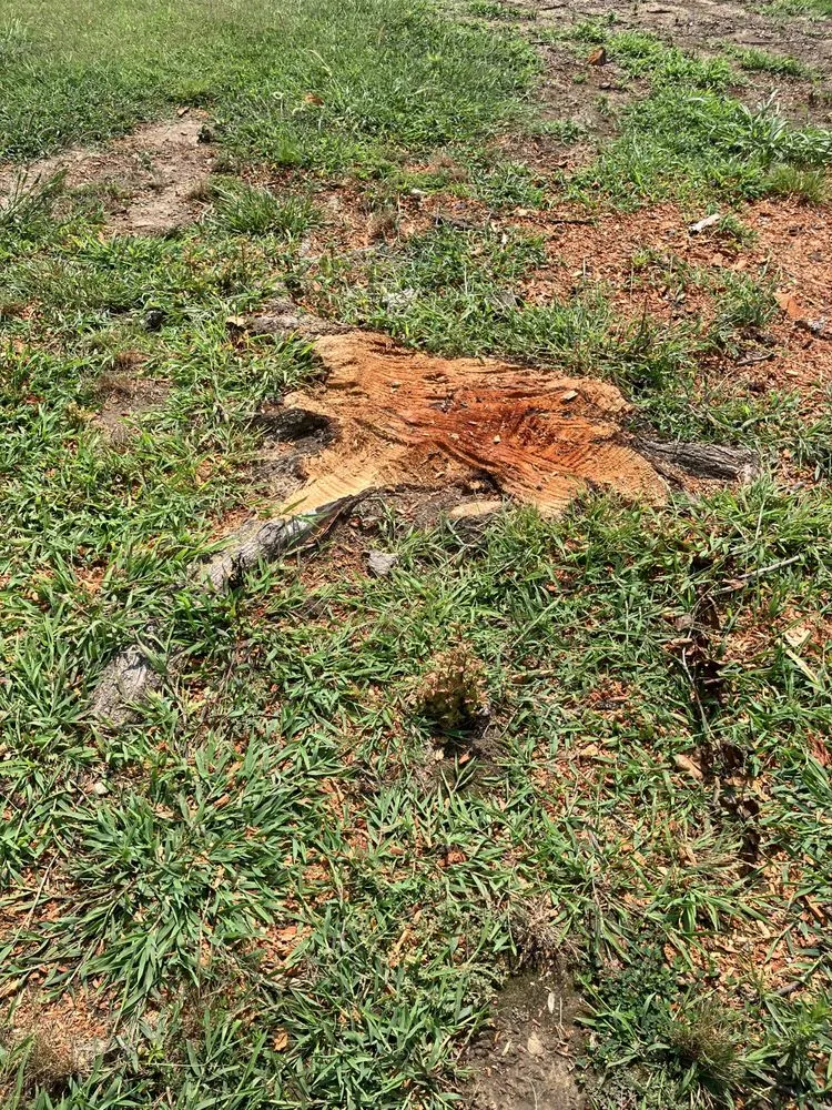 Top-rated landscape design experts serving Bartlesville, OK - Glenn Lawn and Tree Service