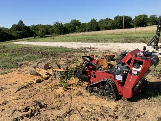 Glenn Lawn and Tree Service