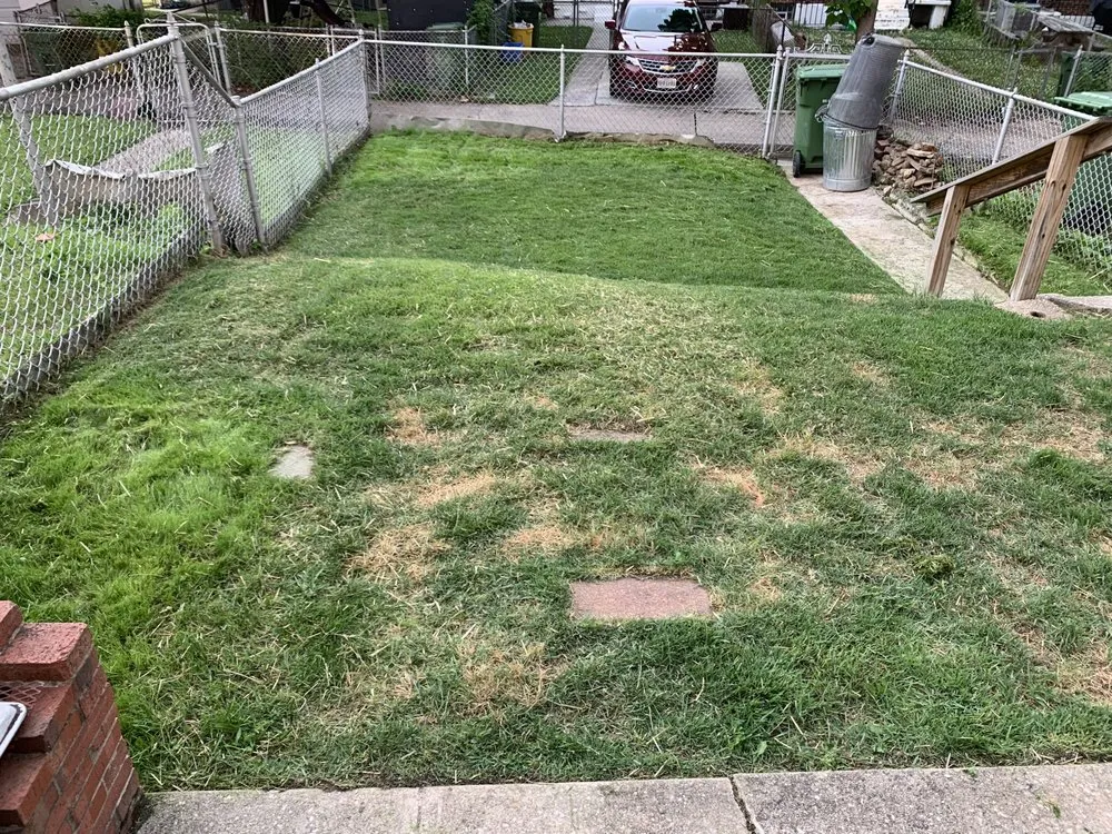 Affordable yard maintenance experts serving Towson, MD - Glenn Lawn Service