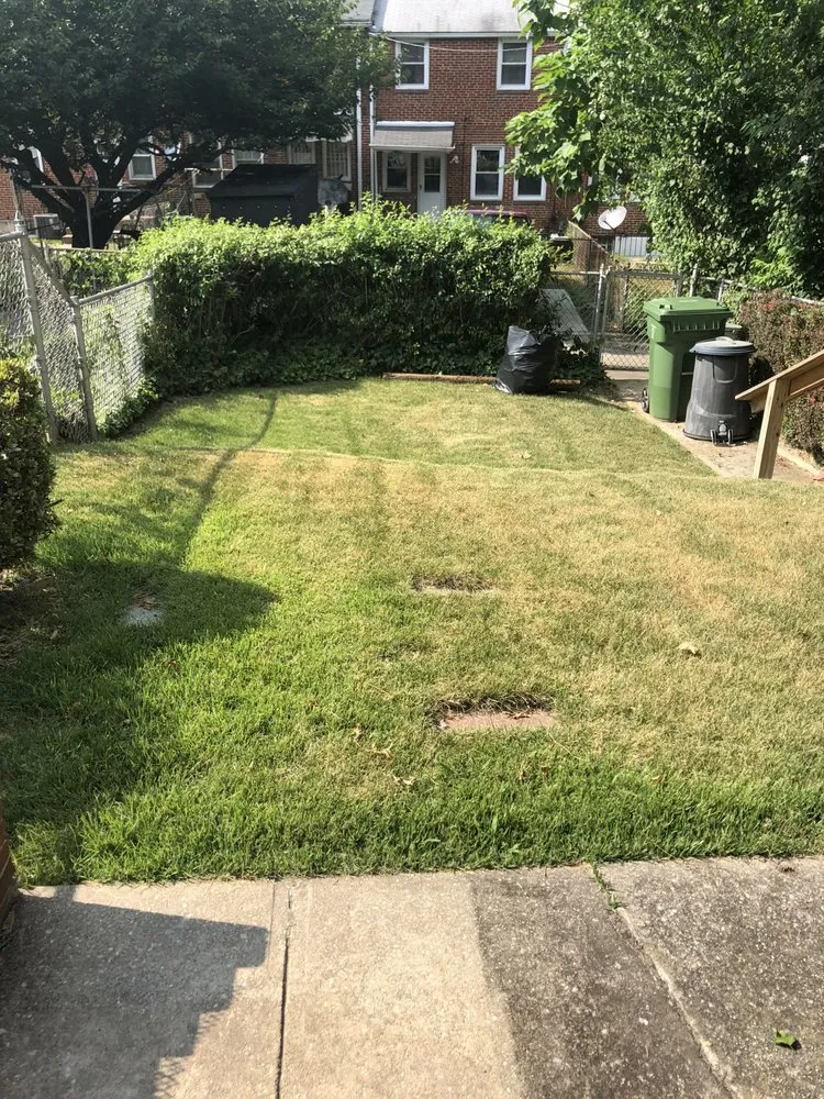 Affordable outdoor landscaping experts serving Towson, MD - Glenn Lawn Service