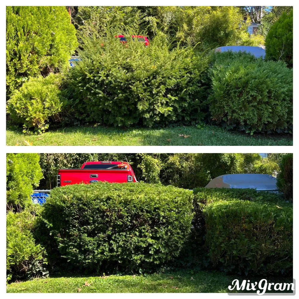 Top-rated landscaping services near you in Towson, MD by Glenn Lawn Service