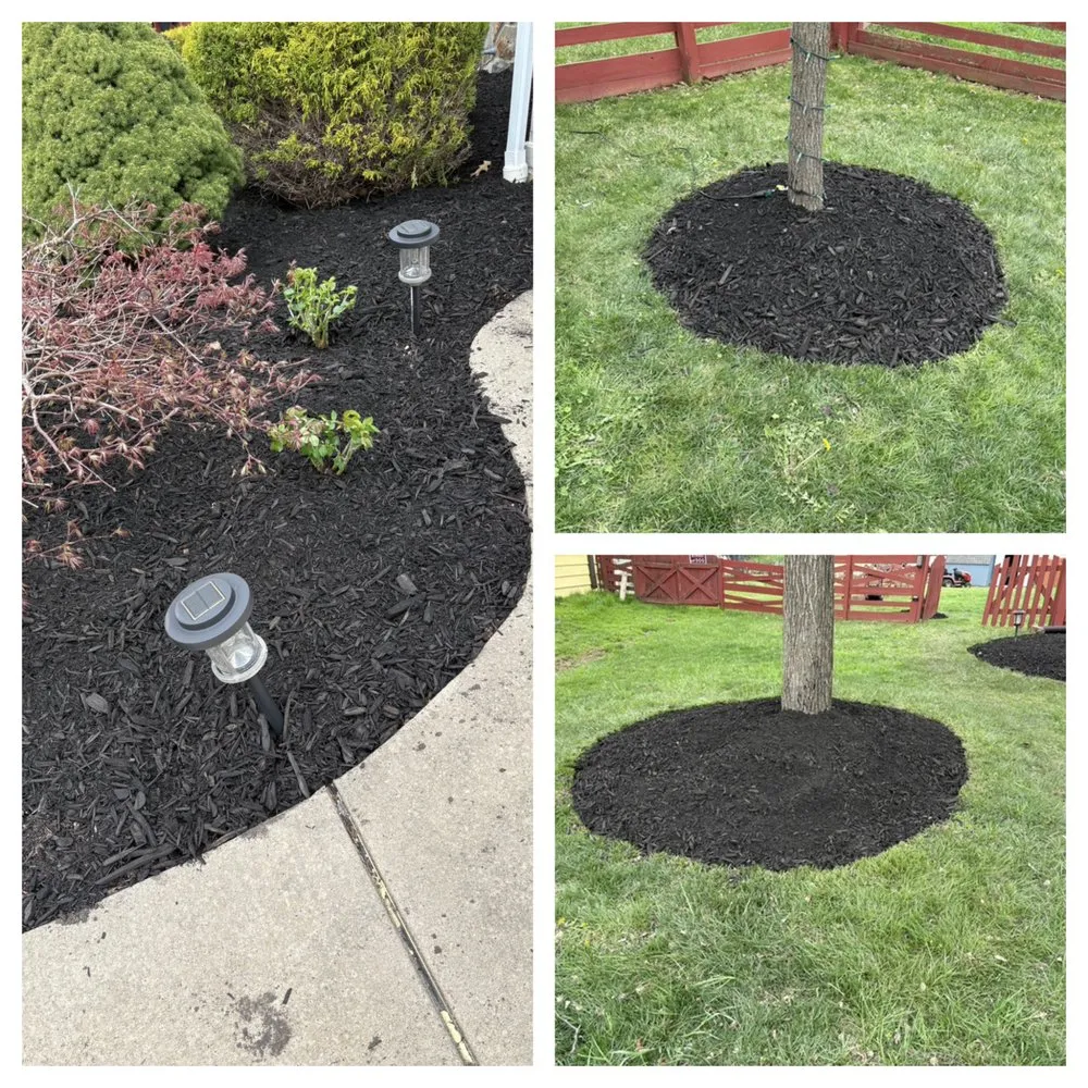 Reliable yard cleanup service experts serving Towson, MD - Glenn Lawn Service