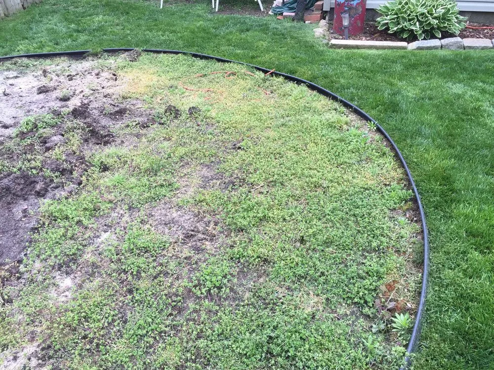 Trusted yard maintenance in East Meadow, NY - Glenn-Scott Landscaping