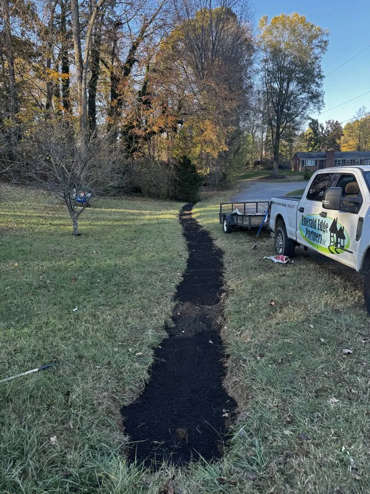 Trusted yard cleanup service in Thomasville, NC - Glennbrook Partners