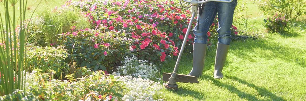 Professional lawn care service in Shelby, NC - Glenn's Handyman