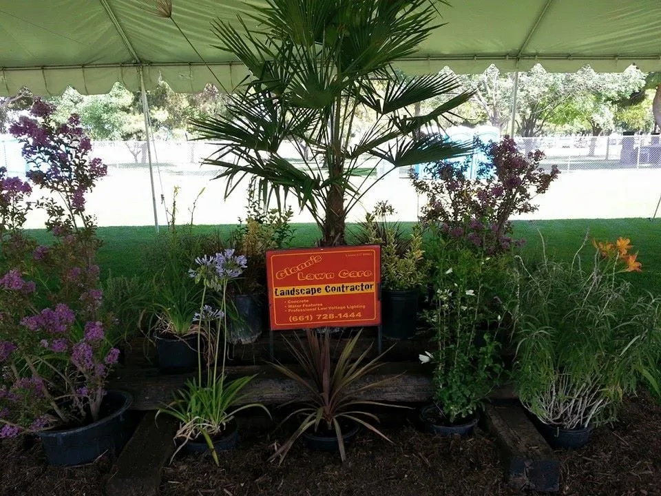 Affordable yard maintenance in Lancaster, CA by Glenn's Lawn Care