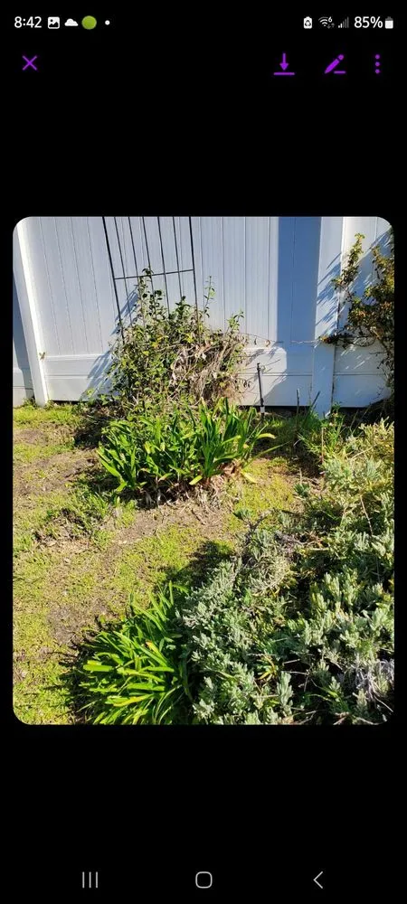 Affordable landscaping services in Lancaster, CA - Glenn's Lawn Care