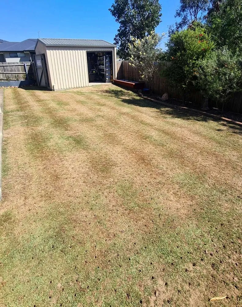 Affordable lawn mowing service for year-round maintenance across Atlanta, GA - Glenrose Lawn Care