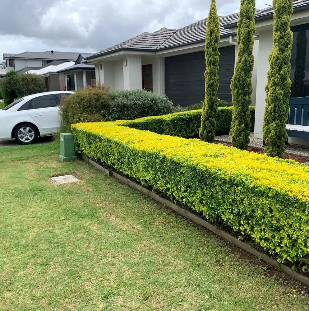 Affordable landscape design for residential properties in Atlanta, GA by Glenrose Lawn Care