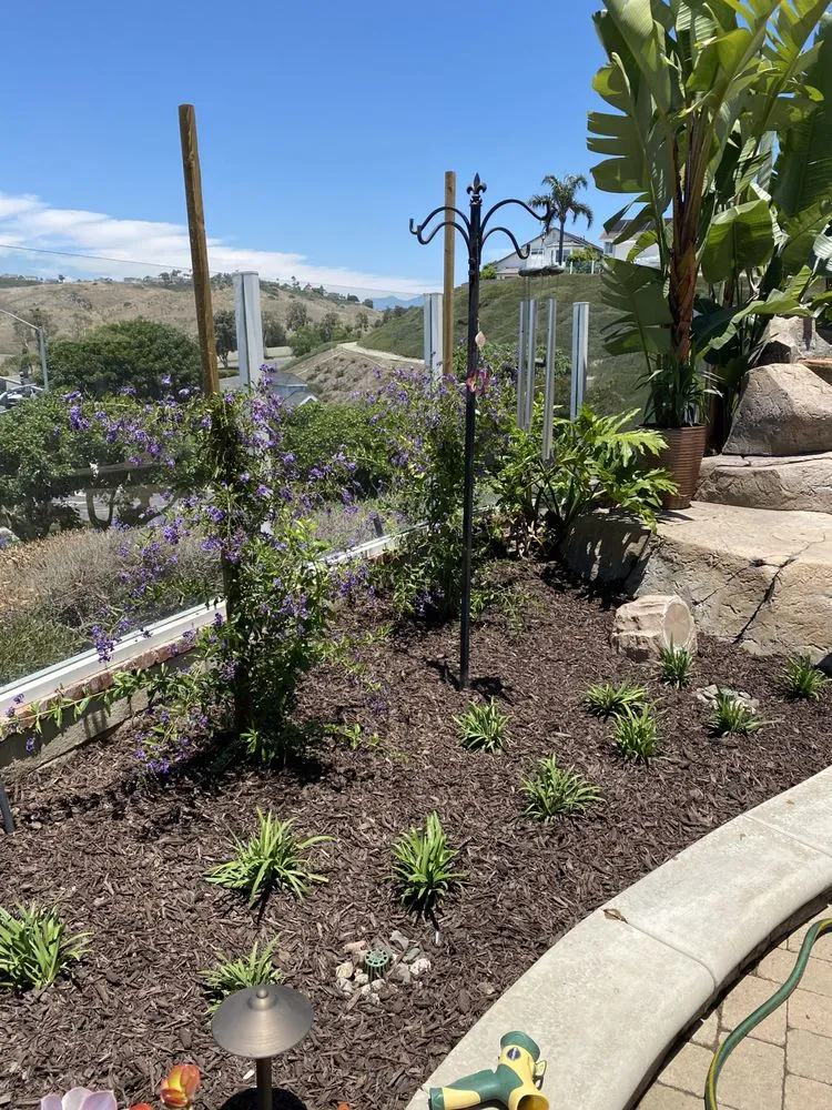 Top-rated residential landscaping for homes in San Clemente, CA by Glen's Landscape & Lighting