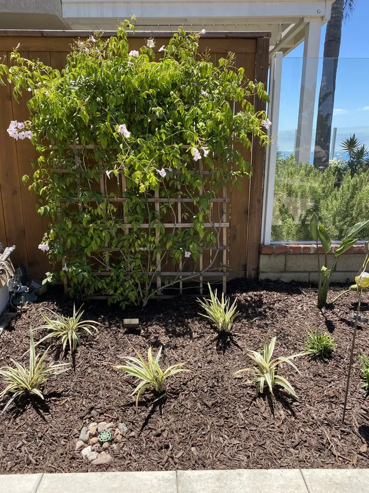 Reliable lawn care service experts serving San Clemente, CA - Glen's Landscape & Lighting