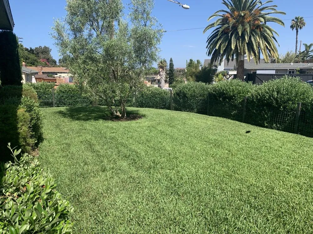 Trusted lawn mowing service near you in San Clemente, CA by Glen's Landscape & Lighting