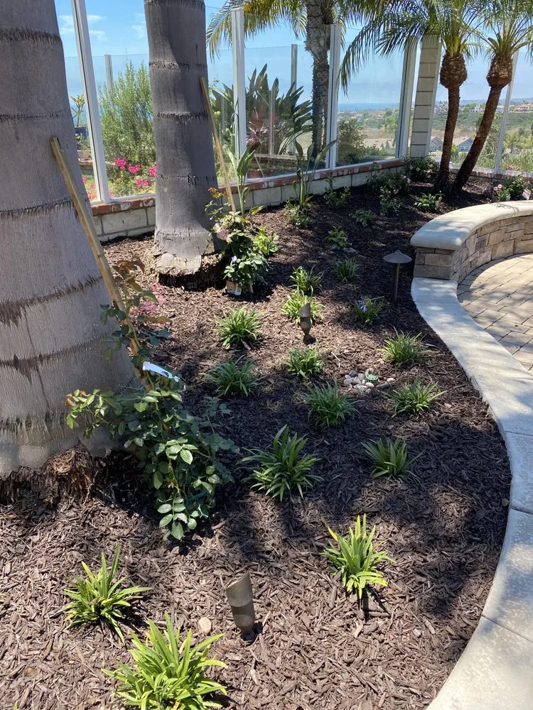 Professional yard maintenance near you in San Clemente, CA by Glen's Landscape & Lighting