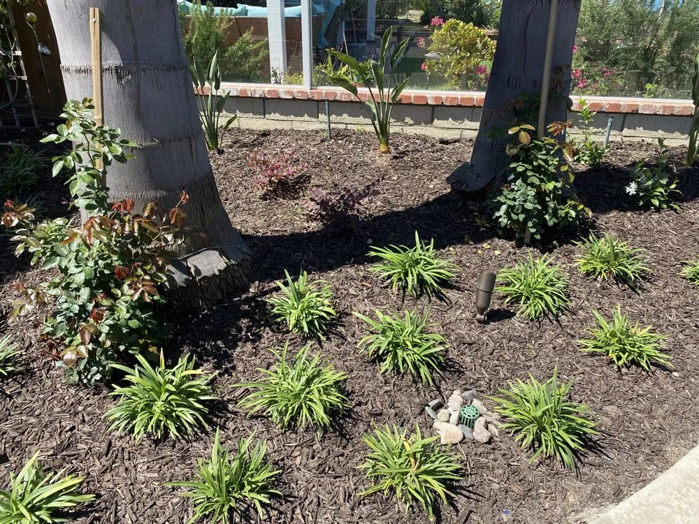 Top-rated landscape design in San Clemente, CA by Glen's Landscape & Lighting